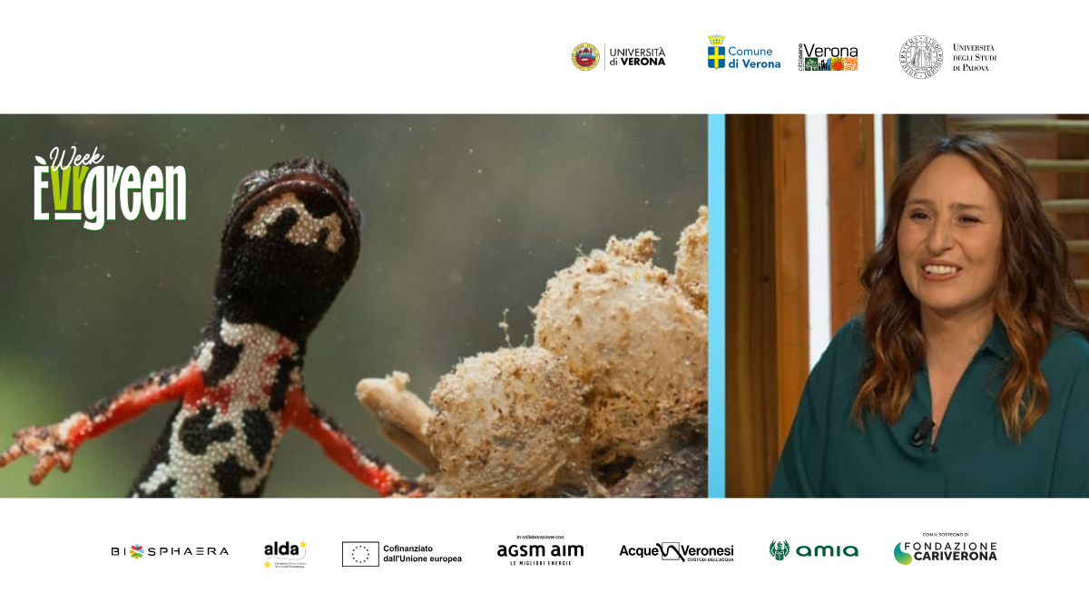 Animali meravigliosi e come salvarli – incontro con l’autrice